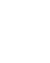 Badger Logo