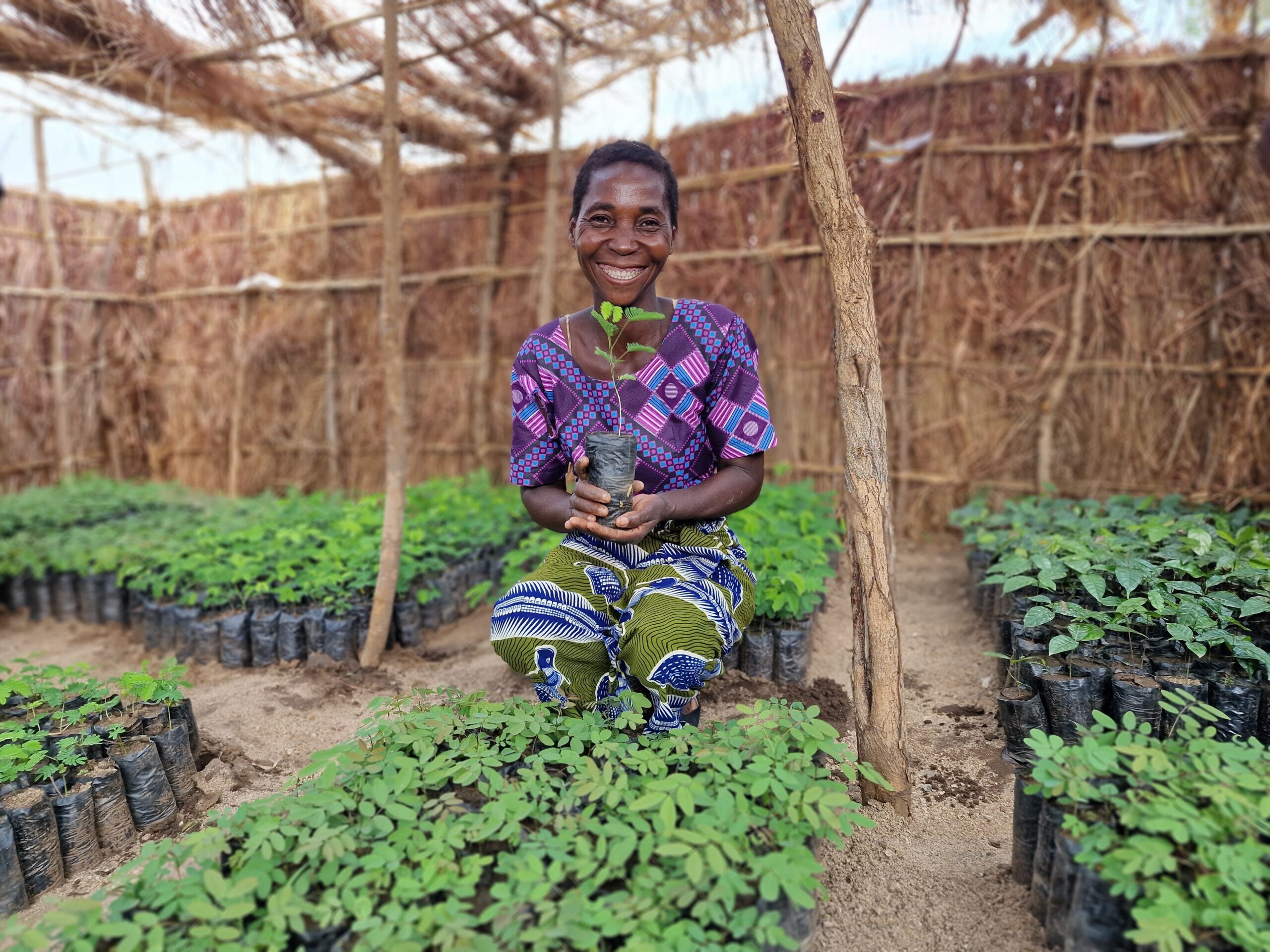 Supporting Sustainability with Plant Protect